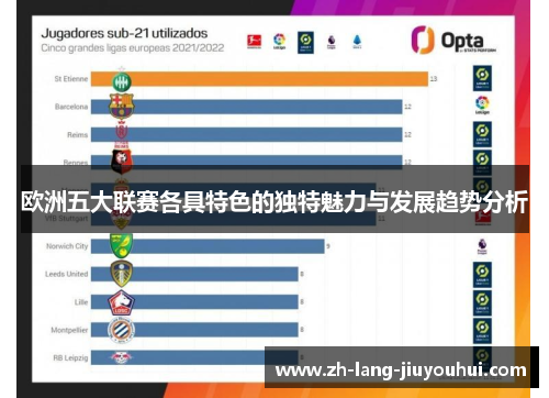 欧洲五大联赛各具特色的独特魅力与发展趋势分析
