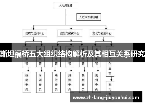 斯坦福桥五大组织结构解析及其相互关系研究