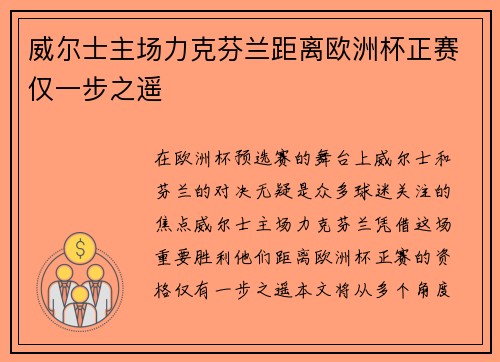 威尔士主场力克芬兰距离欧洲杯正赛仅一步之遥 威尔士主场力克芬兰距离欧洲杯正赛仅一步之遥